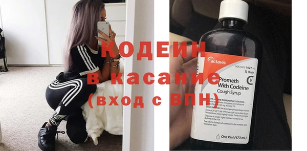 ПСИЛОЦИБИНОВЫЕ ГРИБЫ Арсеньев