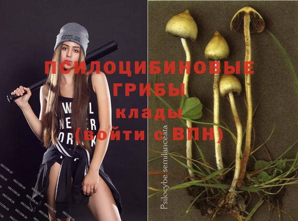 соль курить ск Аркадак