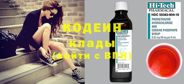 ПСИЛОЦИБИНОВЫЕ ГРИБЫ Арсеньев