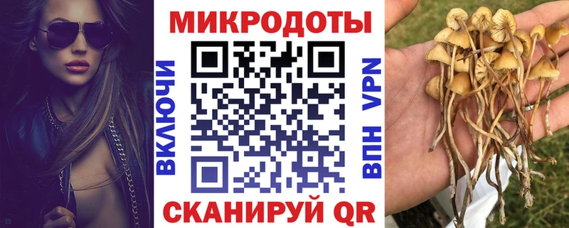 Псилоцибиновые грибы прущие грибы  Купить  Железноводск 